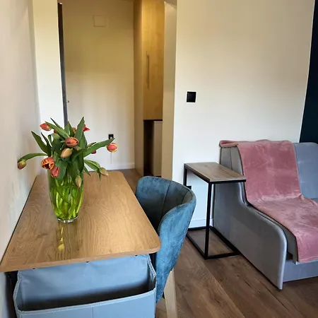 Goscinne U Malgosi Guest house *